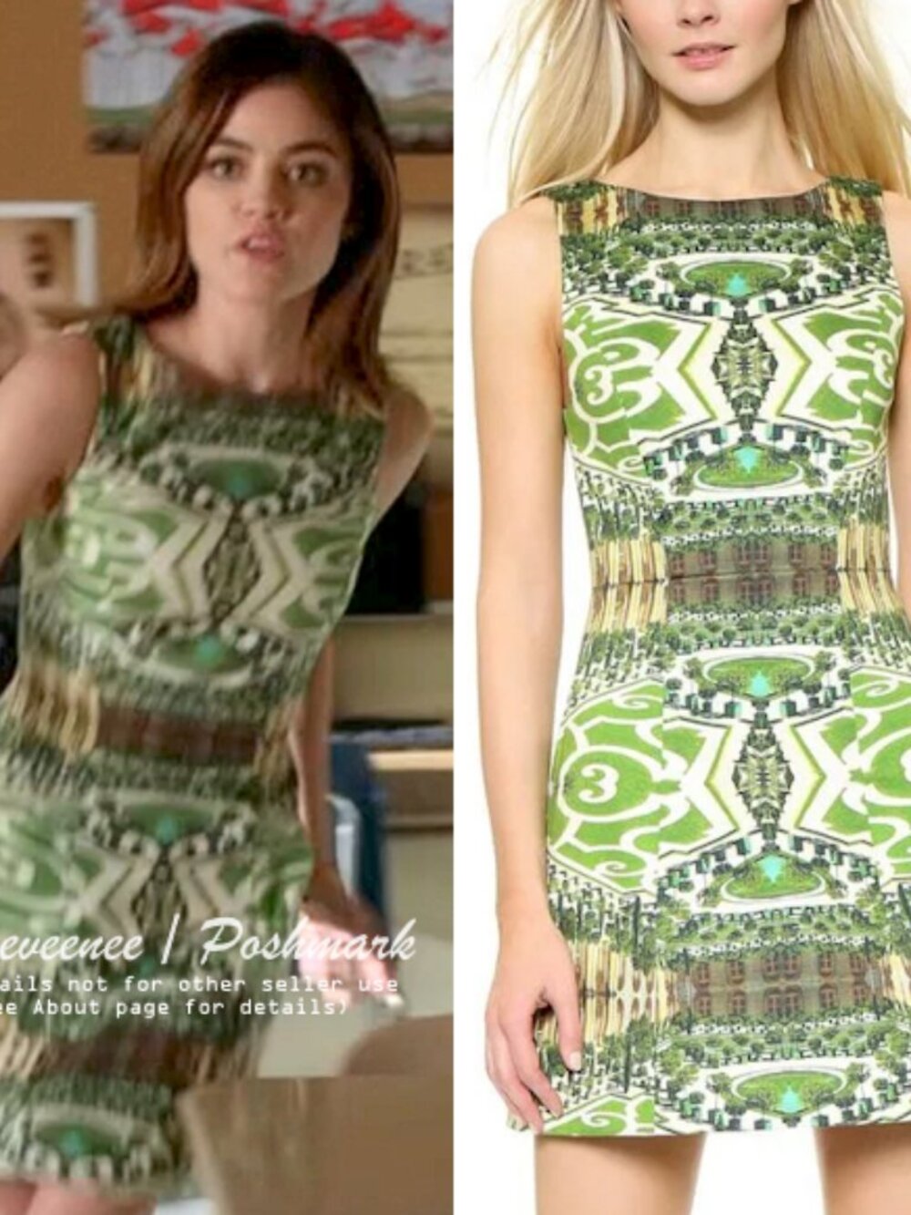 Alice + Olivia Carrie Structured Dress in Mirrored Garden ASO Aria Montgomery